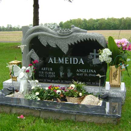 ALMEIDA 53809